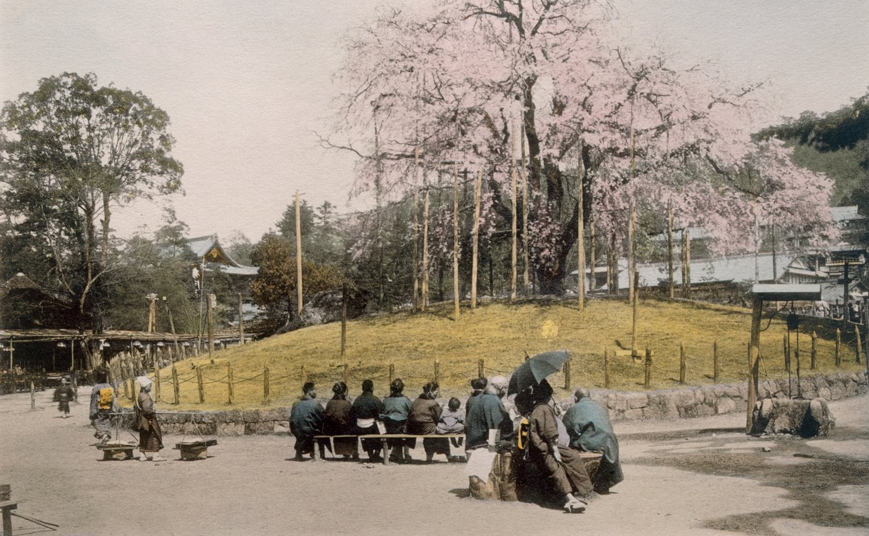 Maruyama