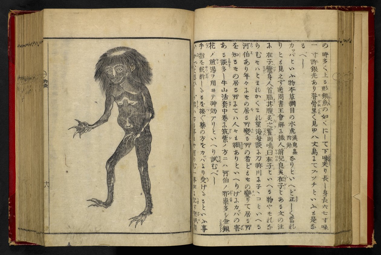 16084.d.15, f.24 A Neneko Kappa, from