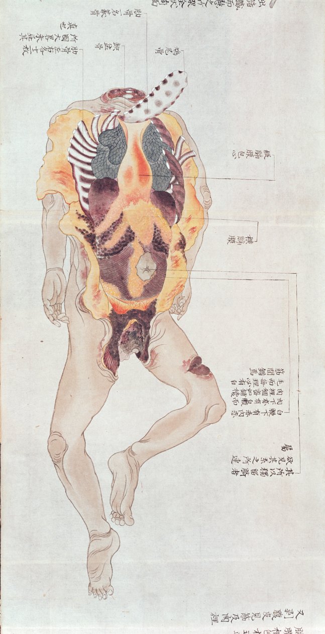 1796