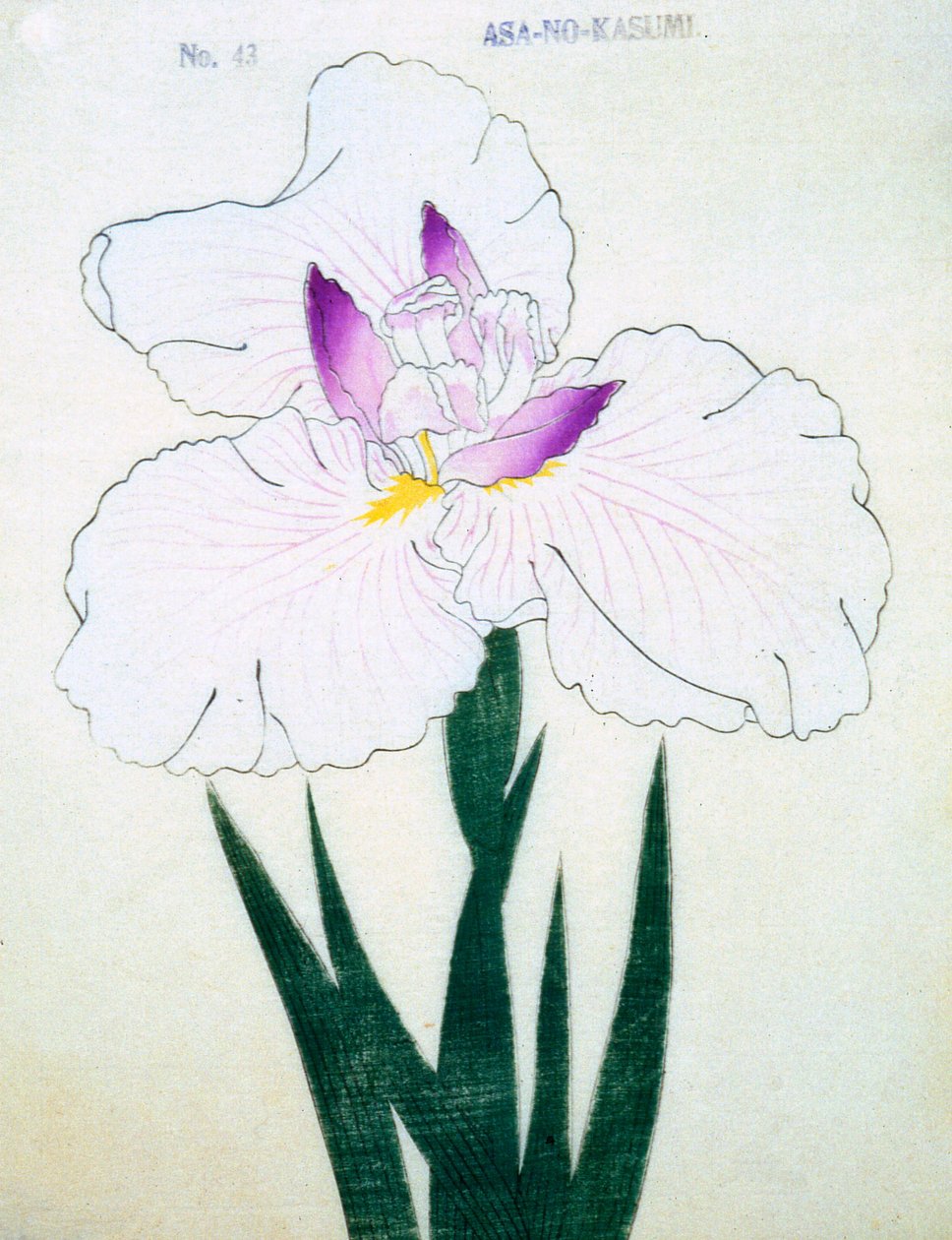Sığ. -Kasumi Arimura. 43, 1898 by Japanese School