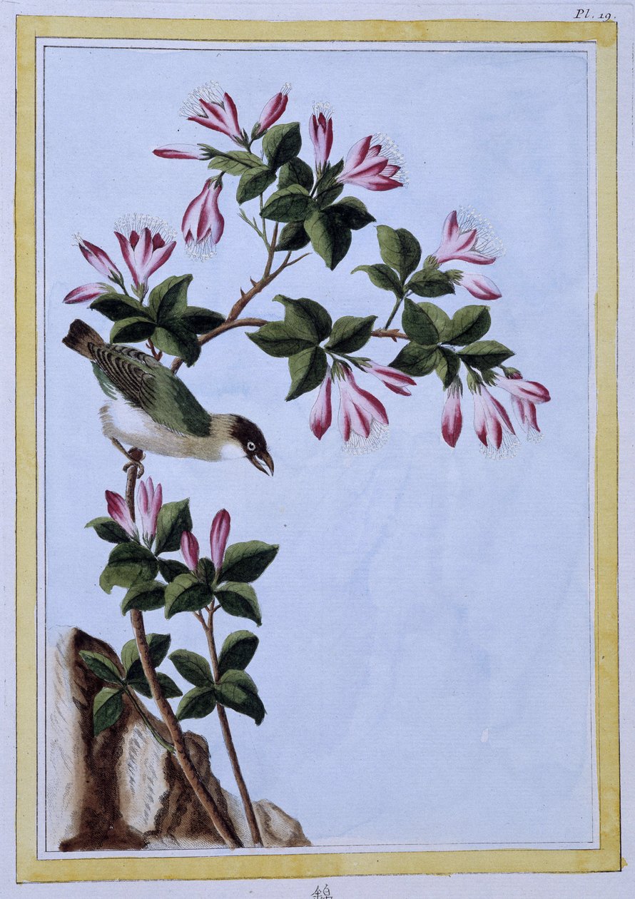 Kuş - Japonca baskı by Japanese School