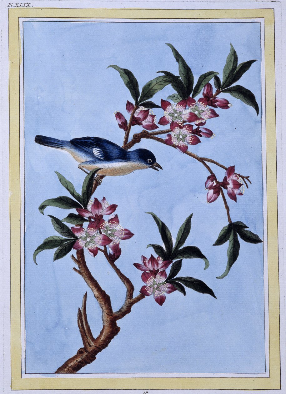 Kuş - Japonca baskı by Japanese School