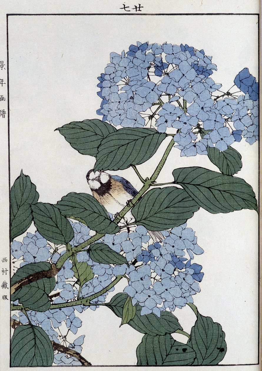 Ortancalarda kuş - Japonca baskı by Japanese School