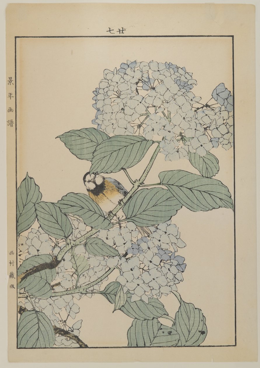 Ortancalı kuş, Meiji dönemi, c.1868-1912 (renkli tahta baskı) by Japanese School