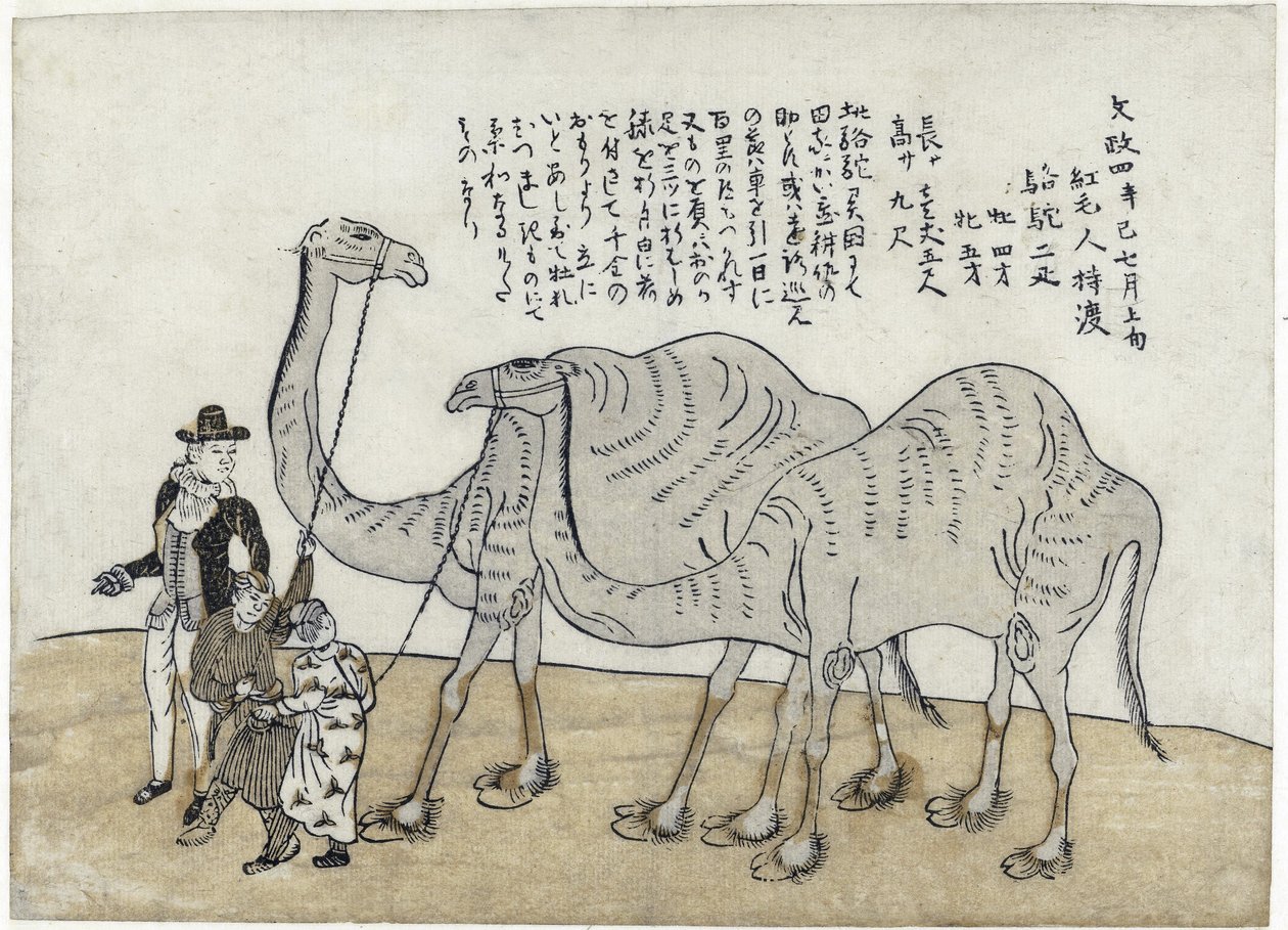 İşleyicileri olan deve, bar. 1821 (renkli gravür) by Japanese School