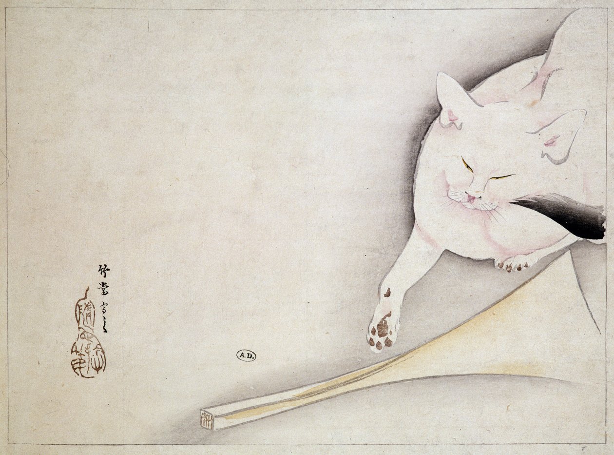 Kedi, Japon çizimi, n.d. 19. yüzyıl. by Japanese School