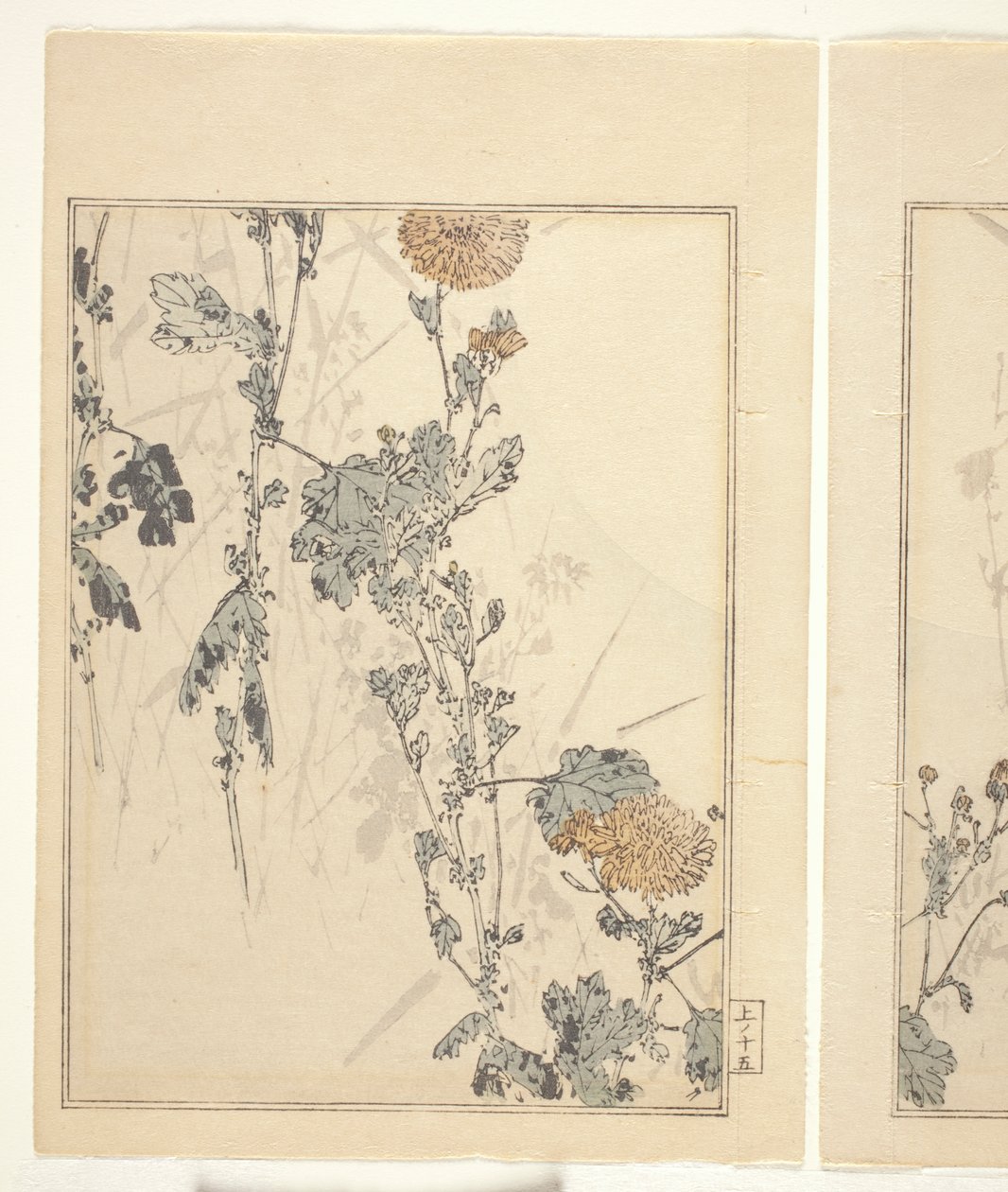 Krizantemler (renkli tahta baskı) (ayrıca bkz. 374401) by Japanese School