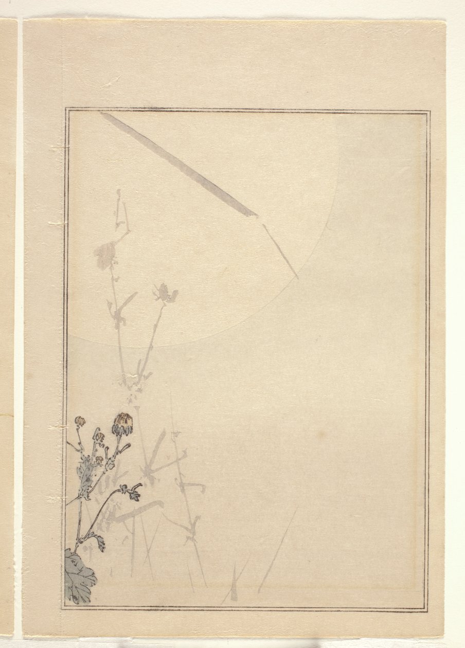 Krizantemler (renkli tahta baskı) (ayrıca bkz. 374402) by Japanese School