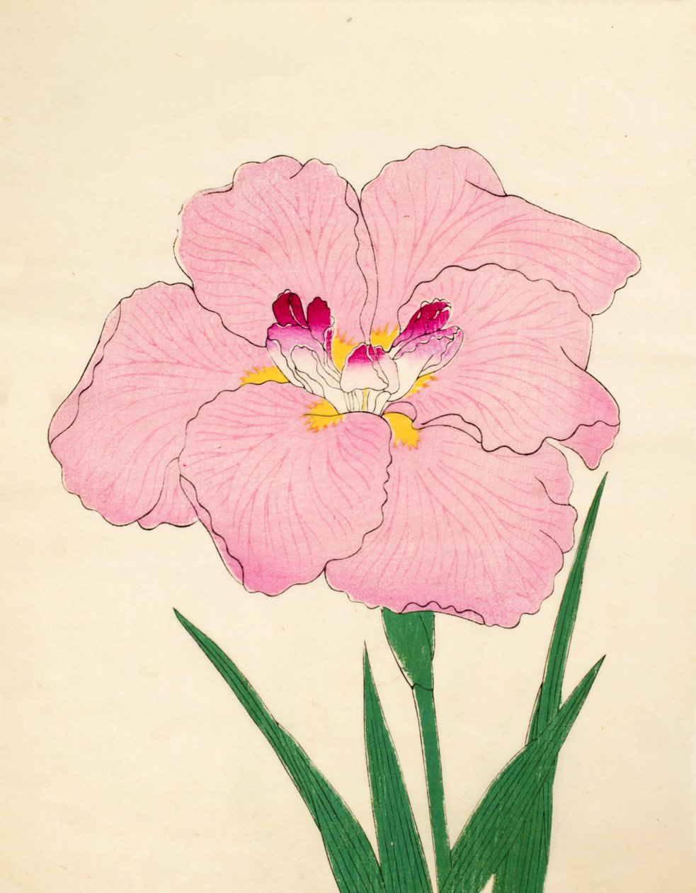 Gofukushoshu, No. 86, 1890 (renkli tahta baskı) by Japanese School