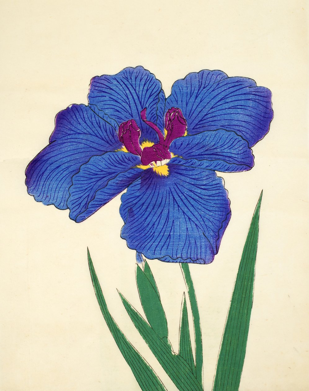 Bu bir kaynama. -Benim, of. 9, 1898 by Japanese School