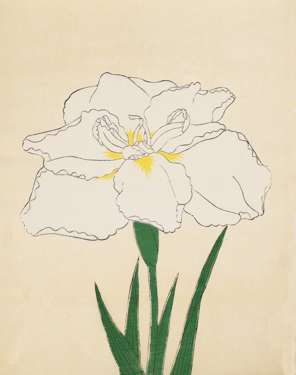 Haku-O-Den, No. 40, 1890 (colour woodblock print) by Japanese School