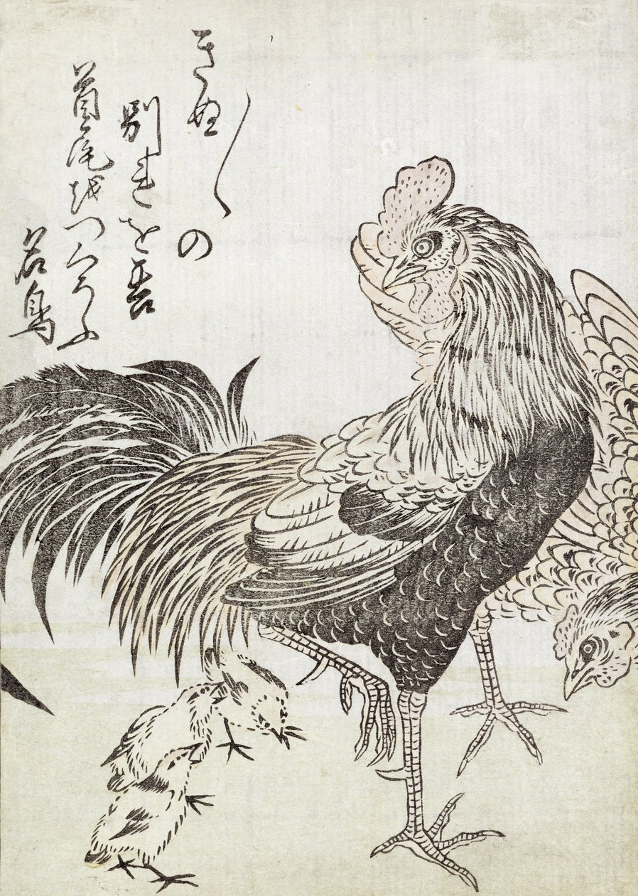 Tavuk, Horoz ve Tavuklar (tahta baskı) by Japanese School