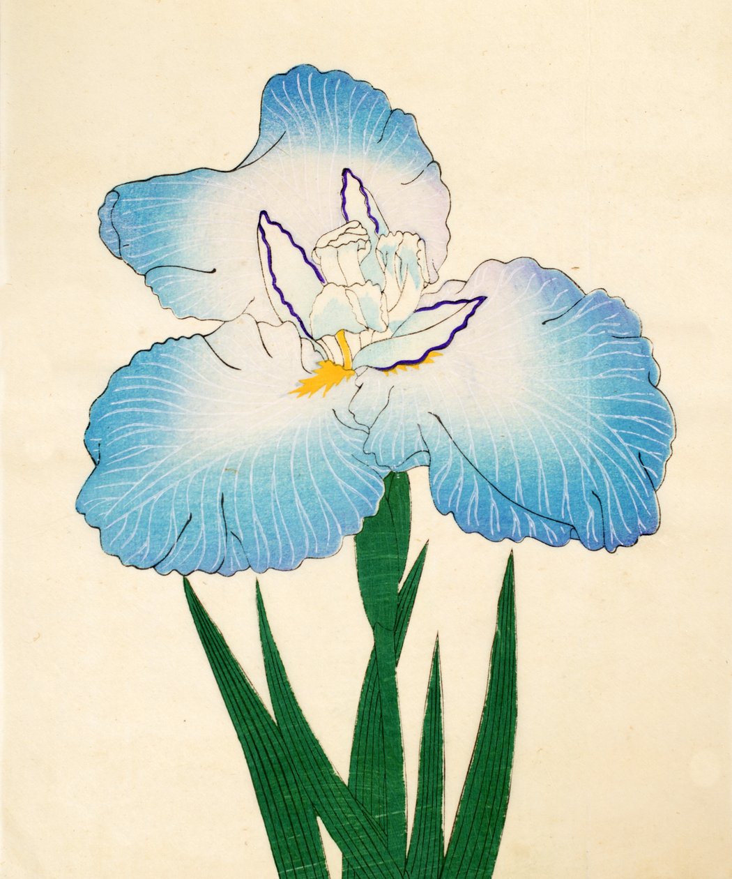 Irojiman, No. 80, 1890 (renkli tahta baskı) by Japanese School