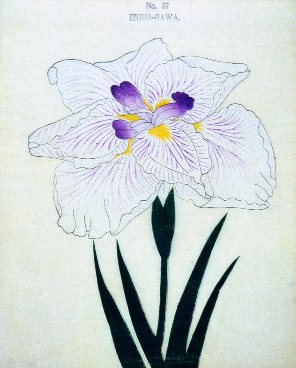 İzumi tarafında. 37, 1898 by Japanese School