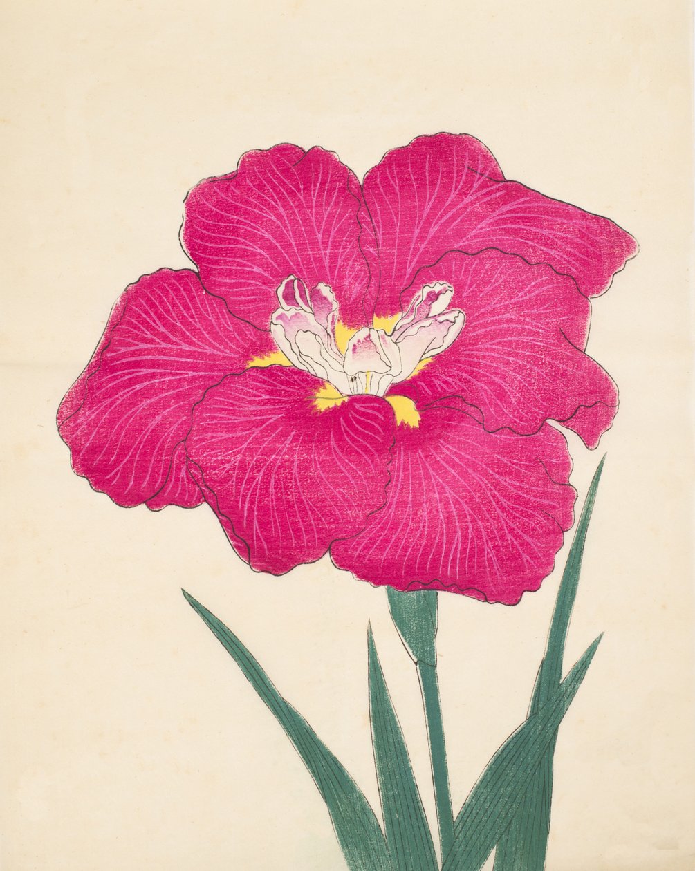 Kaga Lee günü, of. 38, 1890 by Japanese School