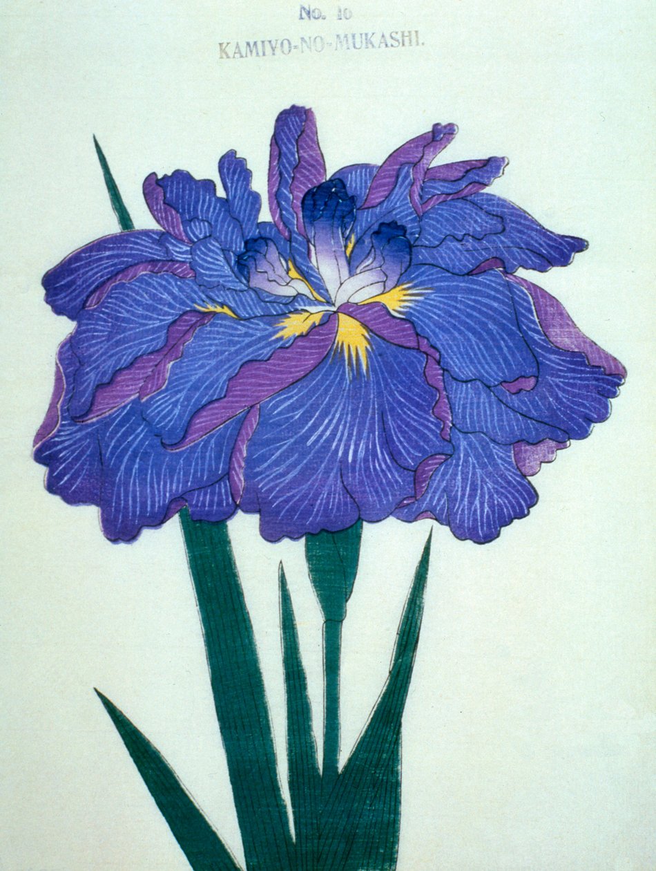 Görüşürüz. -Eski zamanlar. 16, 1898 by Japanese School