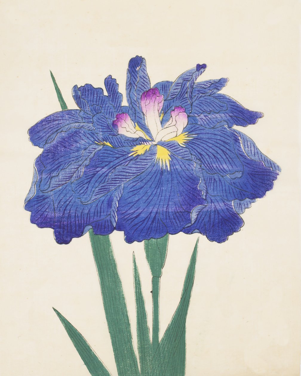 Karako çalıyor. 42, 1898 by Japanese School