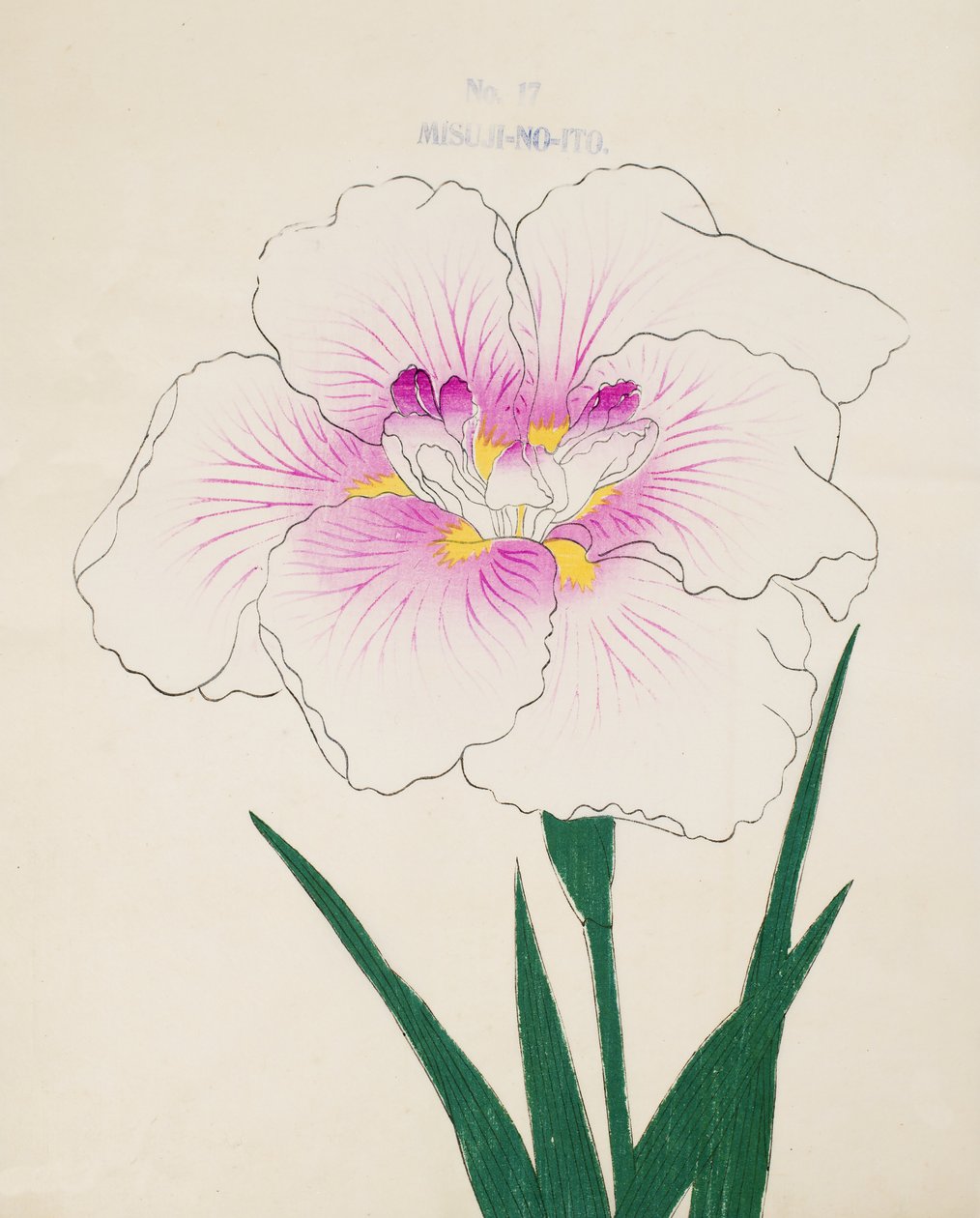 Bayan Gino. -İplik, of. 17, 1898 by Japanese School