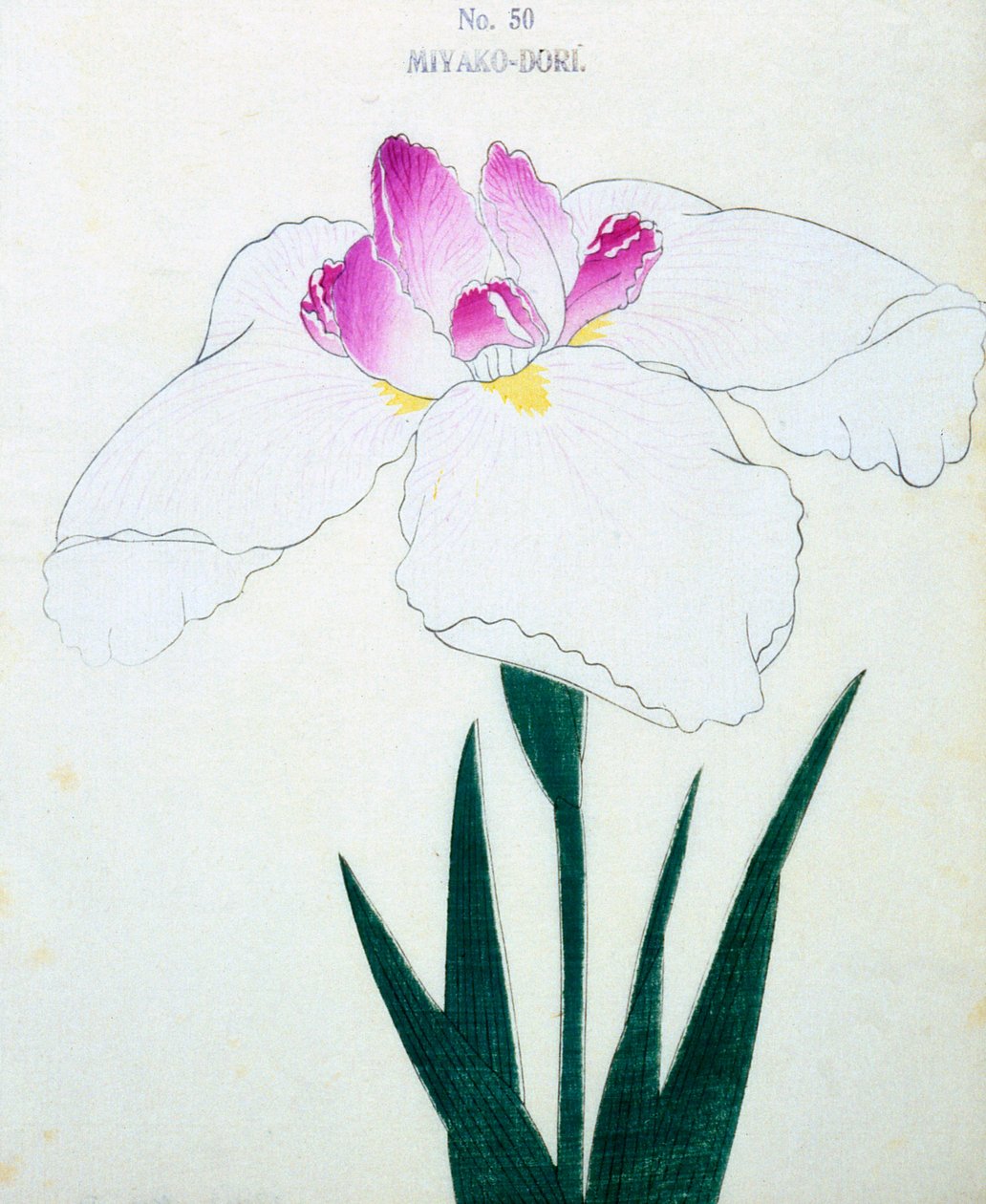Başkent nedir? 50, 1898 by Japanese School