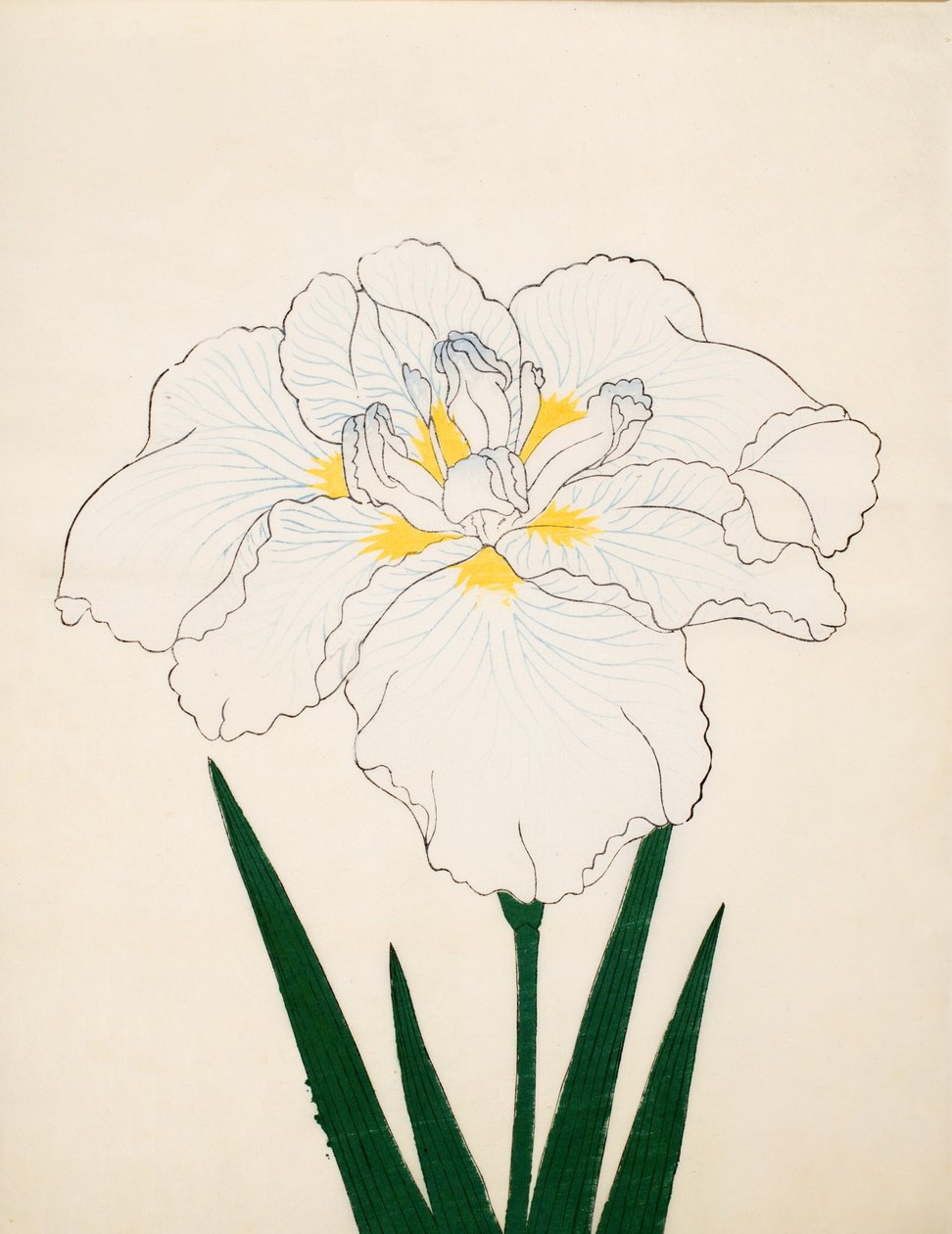 Morono ile. 97, 1890 by Japanese School