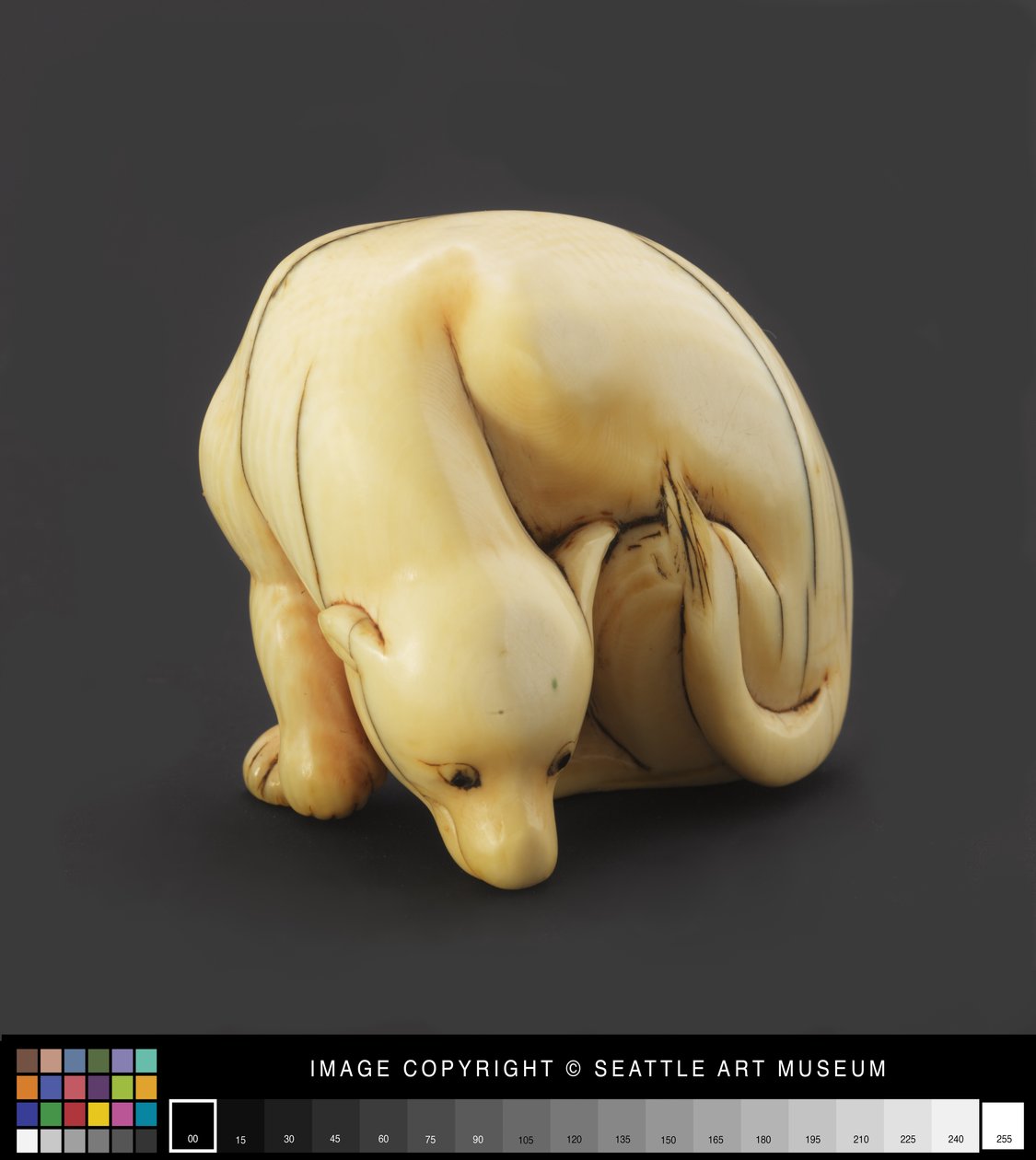 Netsuke, erken yatan bir köpek olarak modellendi 19. yüzyıl (Fildişi) by Japanese School