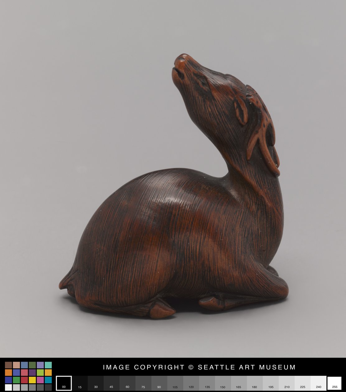 Netsuke, 19. yüzyılın ortalarında geyik olarak modellenmiştir (Fildişi) by Japanese School