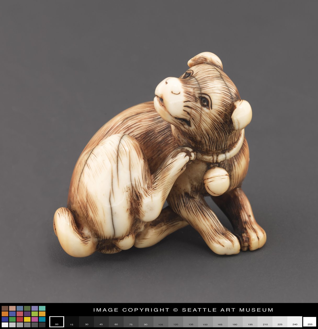 Netsuke, kendini tırmalayan bir köpek olarak modellendi. boyun by Japanese School