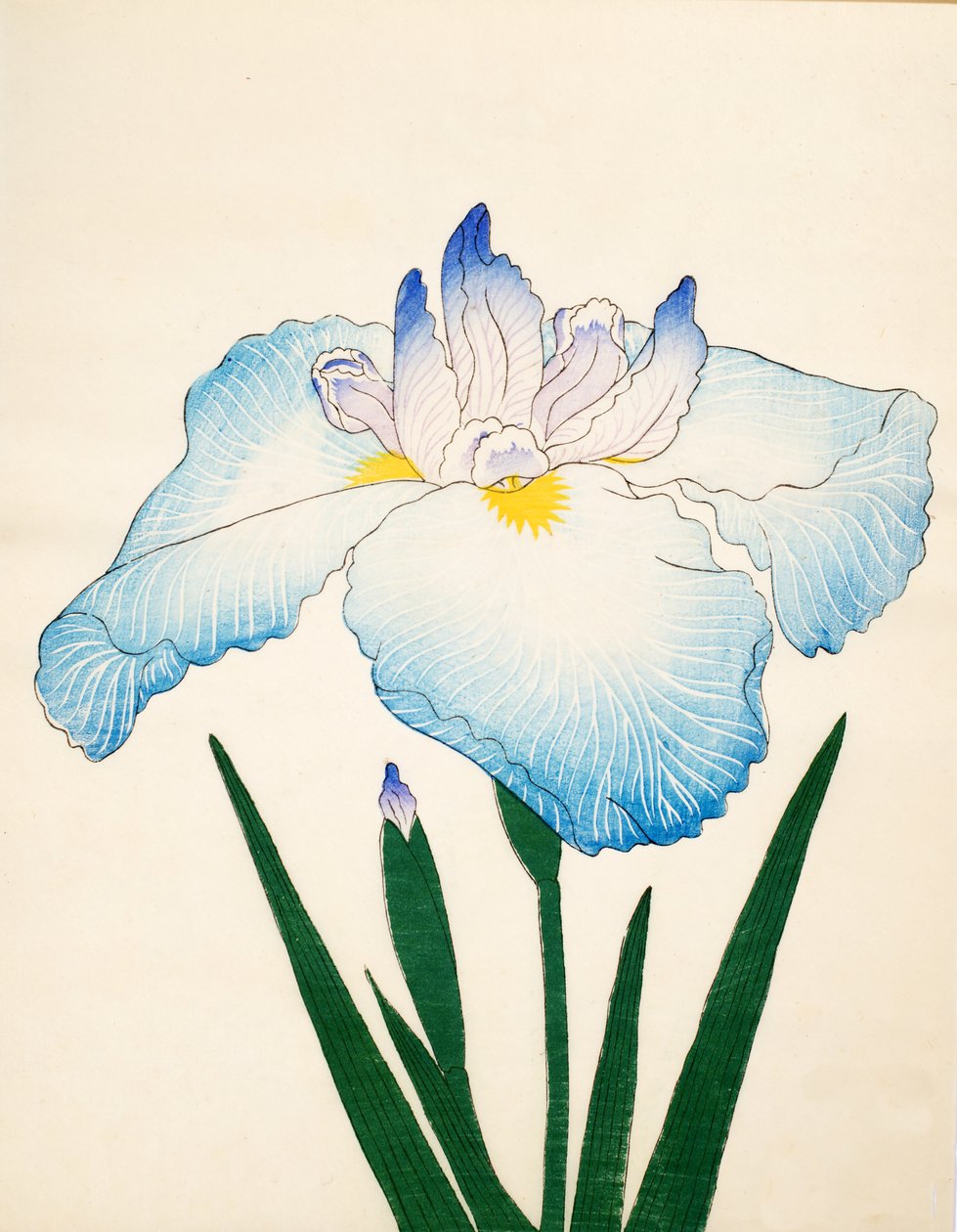 dalgalanmaları. 68, 1890 by Japanese School