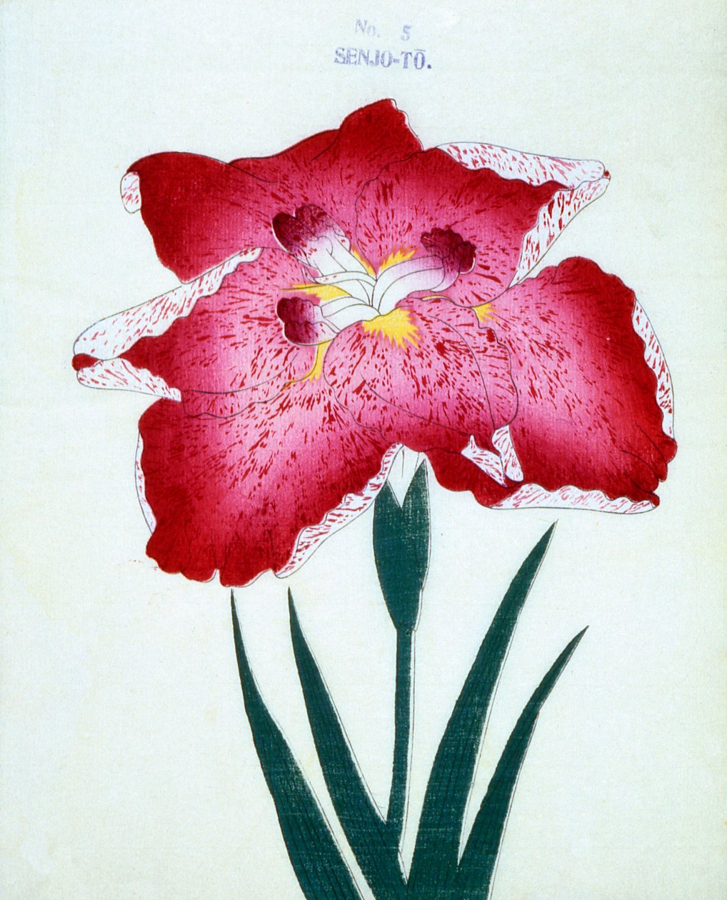 Senjo ile. 5, 1898 by Japanese School