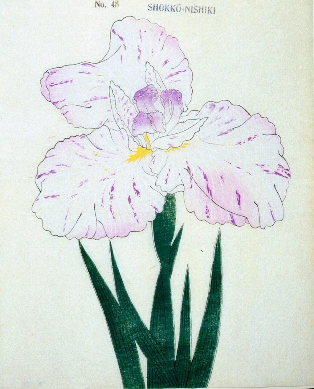 Shokko Nishiki, of. 48, 1898 by Japanese School