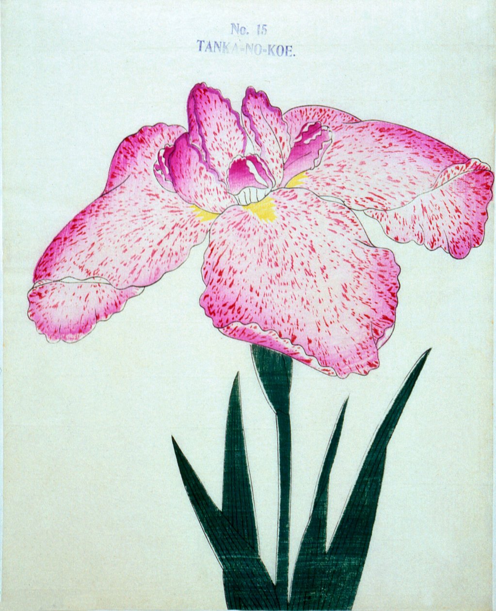 Bir tankerin. -Öte. 15, 1898 by Japanese School
