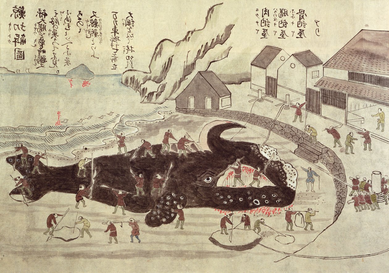 Bir Balinanın Eklemi, 19. yüzyıl sonu (renkli gravür) by Japanese School