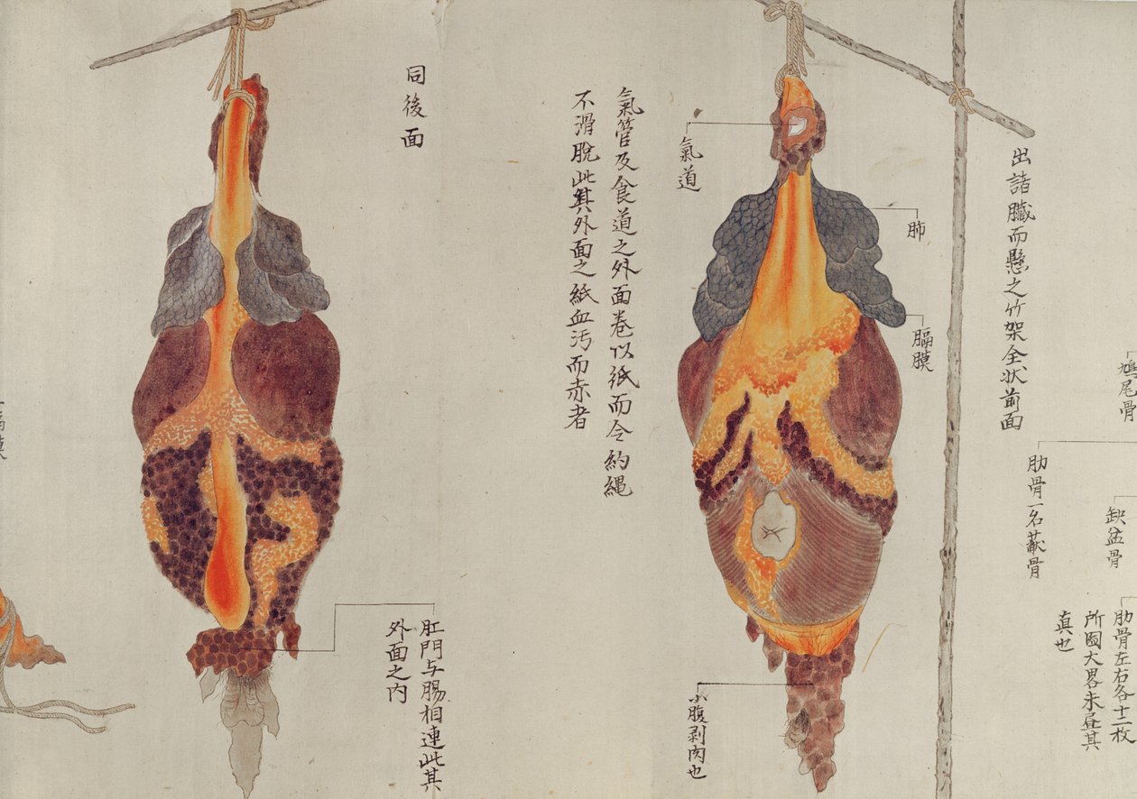 1796
