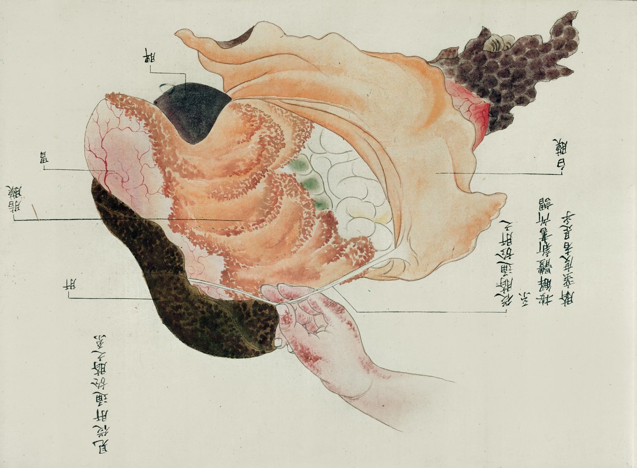 1796