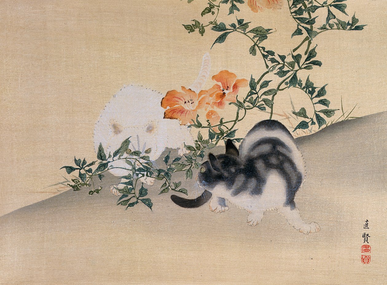 İki Kedi, The Kokka dergisinden bir illüstrasyon, 1898-99 by Japanese School