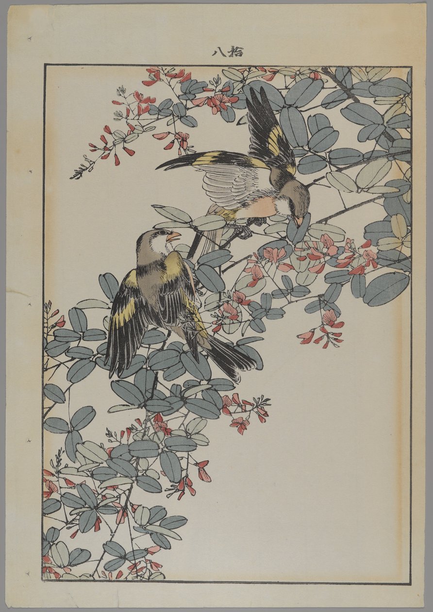 Pembe çiçekli iki kuş, Meiji dönemi, c.1868-1912 (renkli tahta baskı) by Japanese School
