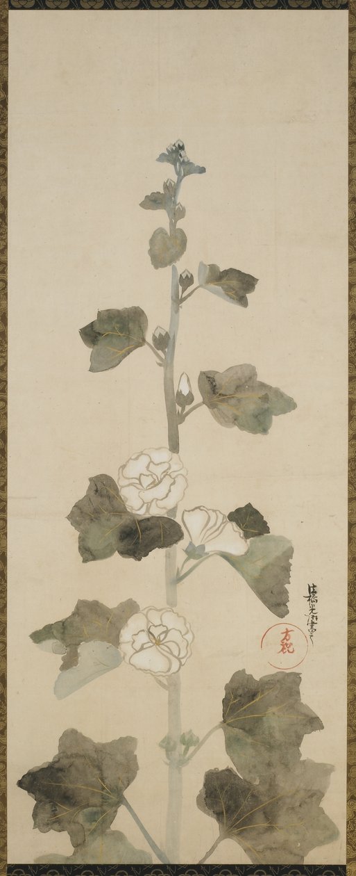 Beyaz gülhatmi, Edo dönemi, 1615-1868 (kağıt üzerinde mürekkep, renk tonu ve altın) by Japanese School