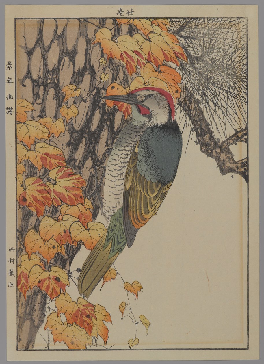 Ağaçkakan, 1892 (renkli tahta baskı) by Japanese School
