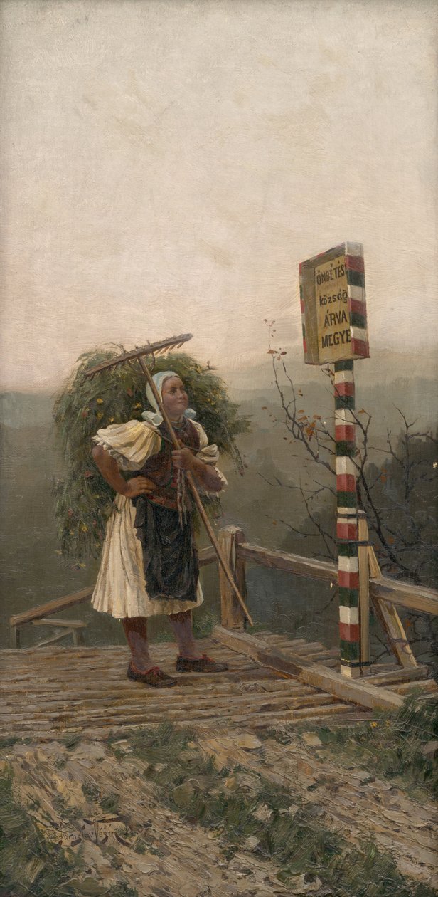 Köyümüze ne denir? by Jaroslav Friedrich Julius Vesin
