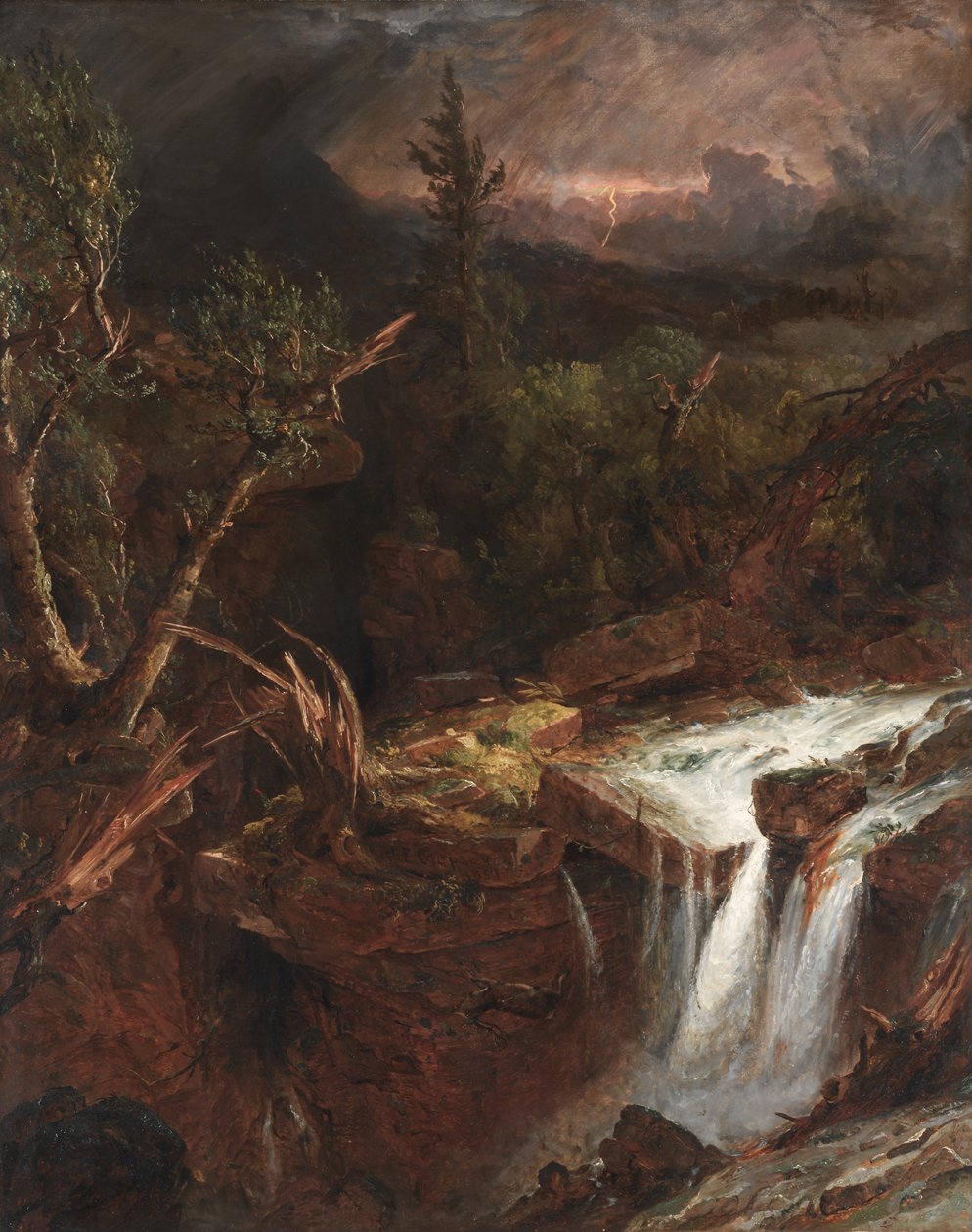 Karanfil - Catskill Dağları