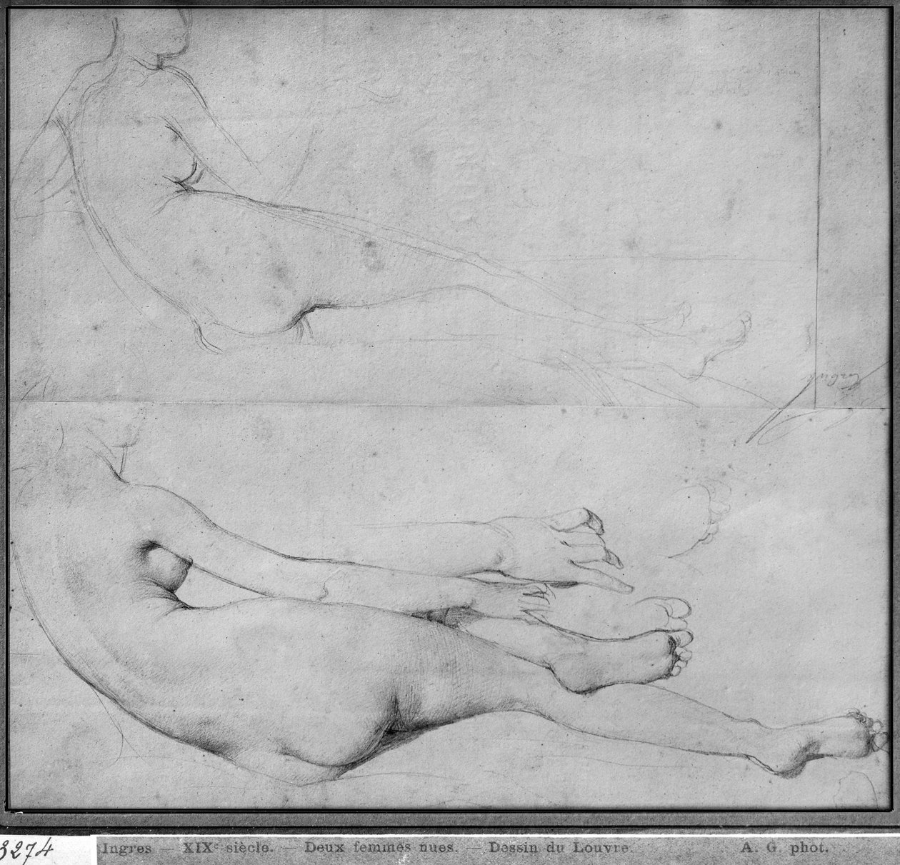 The Grande Odalisque için çalışmalar (kağıt üzerinde grafit) (ayrıca bkz. 233243) by Jean Auguste Dominique Ingres