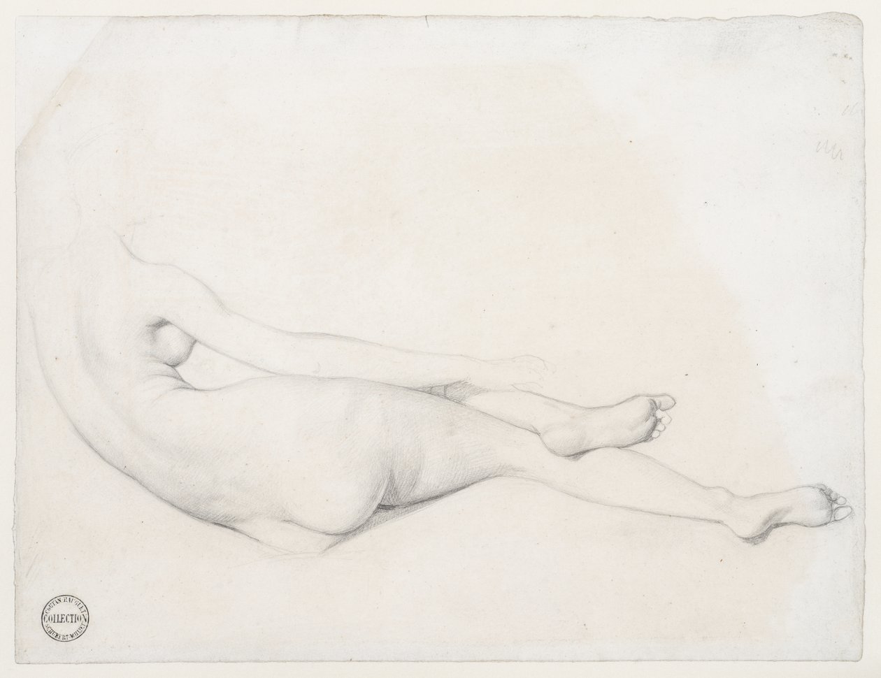 Study for La Grande Odalisque, 1814 (graphite on wove paper) by Jean Auguste Dominique Ingres