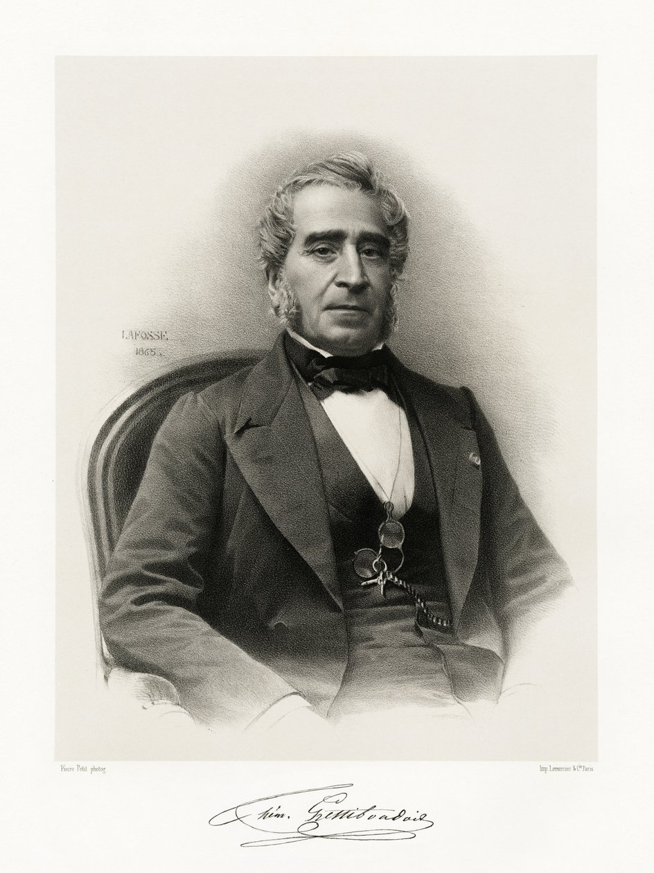 Gaspard Themistocle Lestiboudois, 1865-66 by Jean Baptiste Adolphe Lafosse