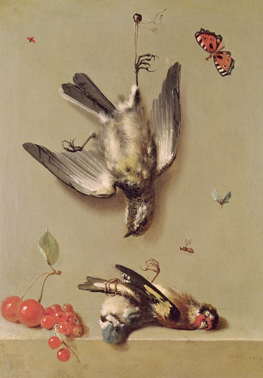 Ölü Kuşların ve Kirazların Natürmortu, 1712 by Jean Baptiste Oudry