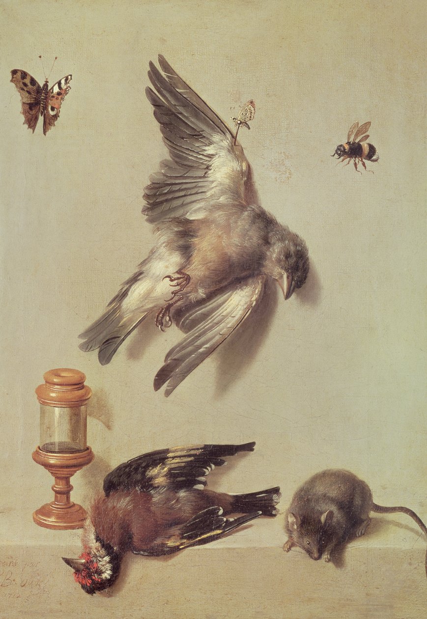 Ölü Kuşların ve Farenin Natürmortu, 1712 by Jean Baptiste Oudry