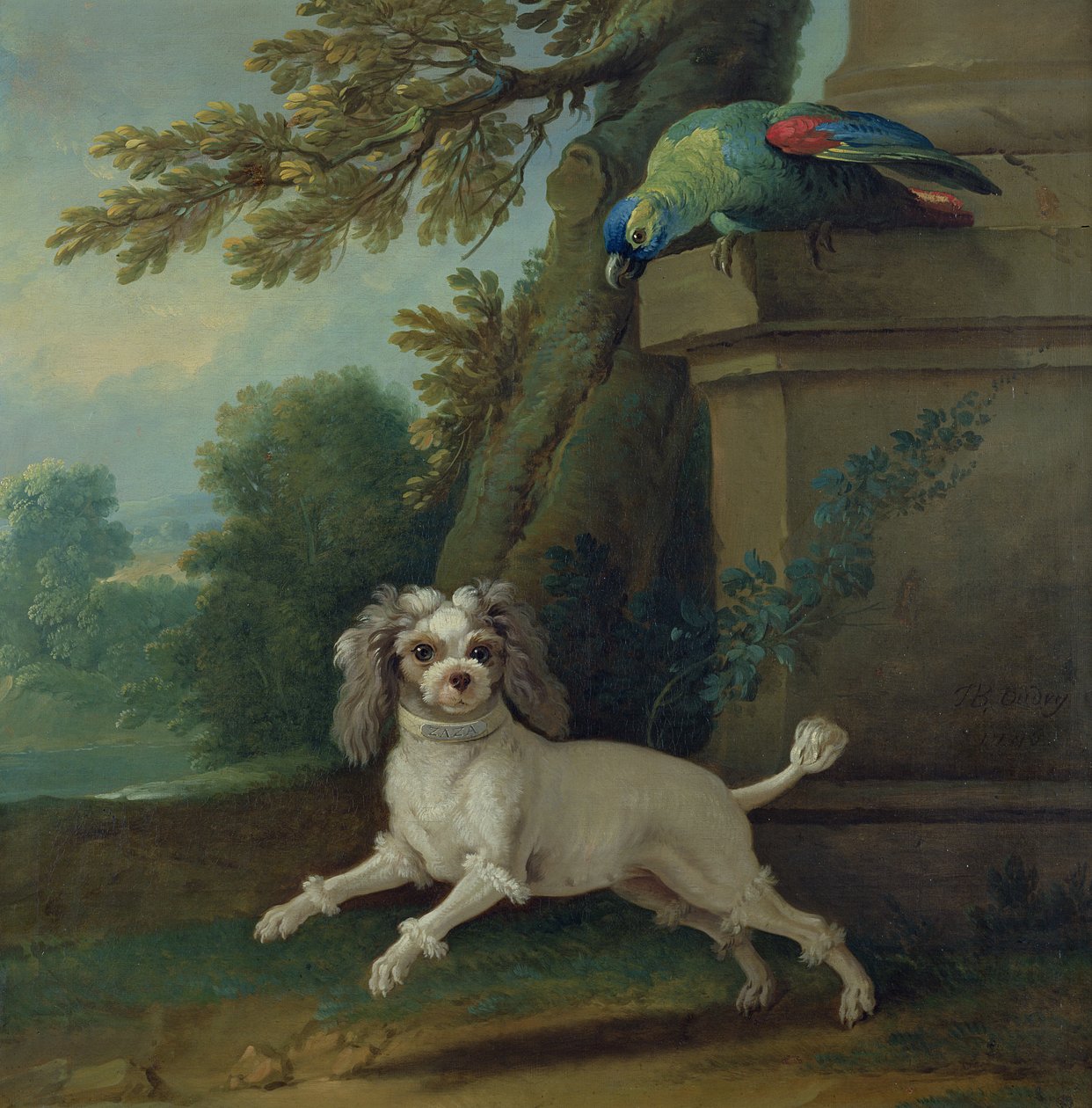Zaza, köpek, c.1730 by Jean Baptiste Oudry