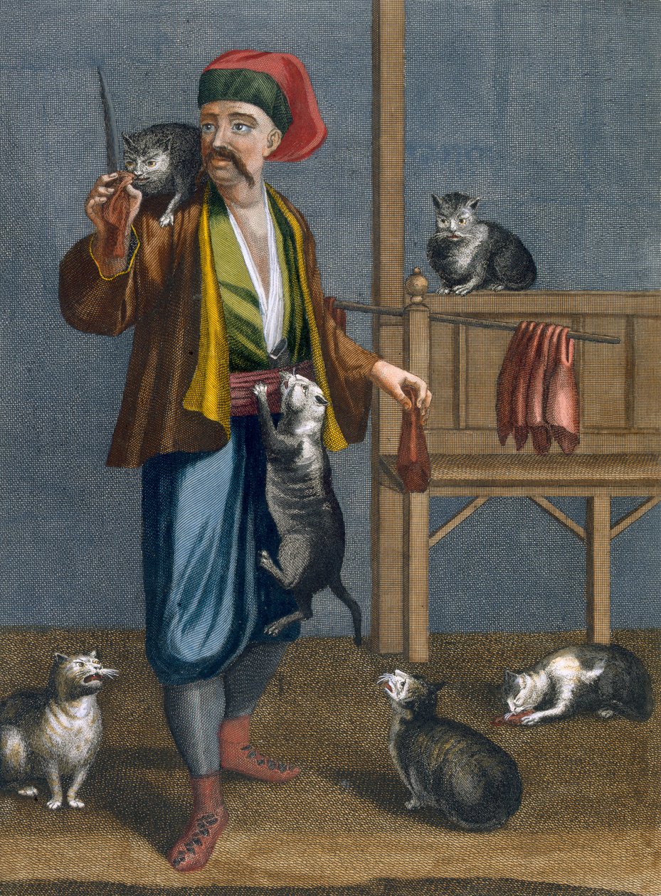 Kedi besleyici, Charles de Ferriol tarafından 