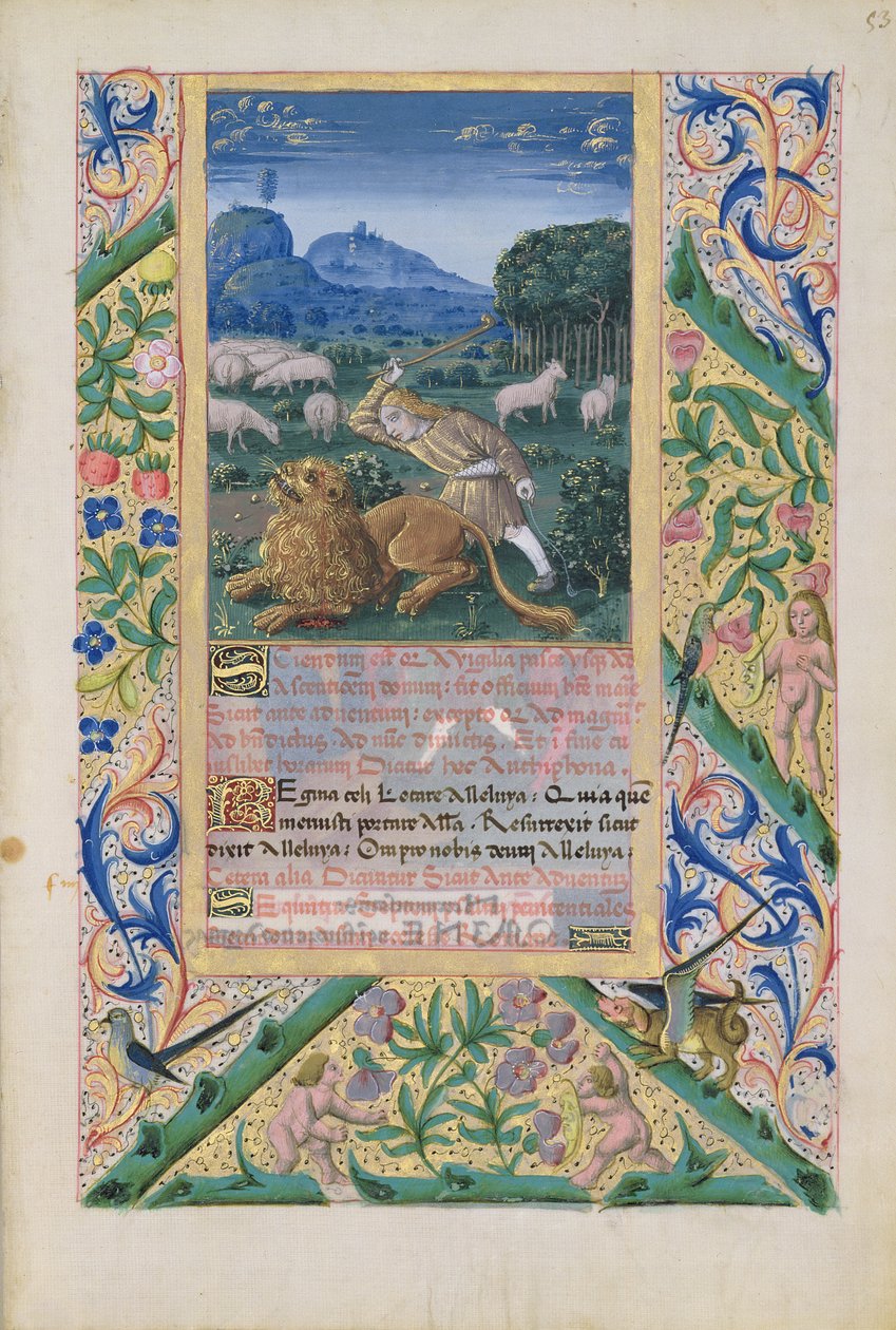 Bayan Lat. Q.v.I.126 f.53 David, babasının koyunlarını bir aslana karşı savunurken, 