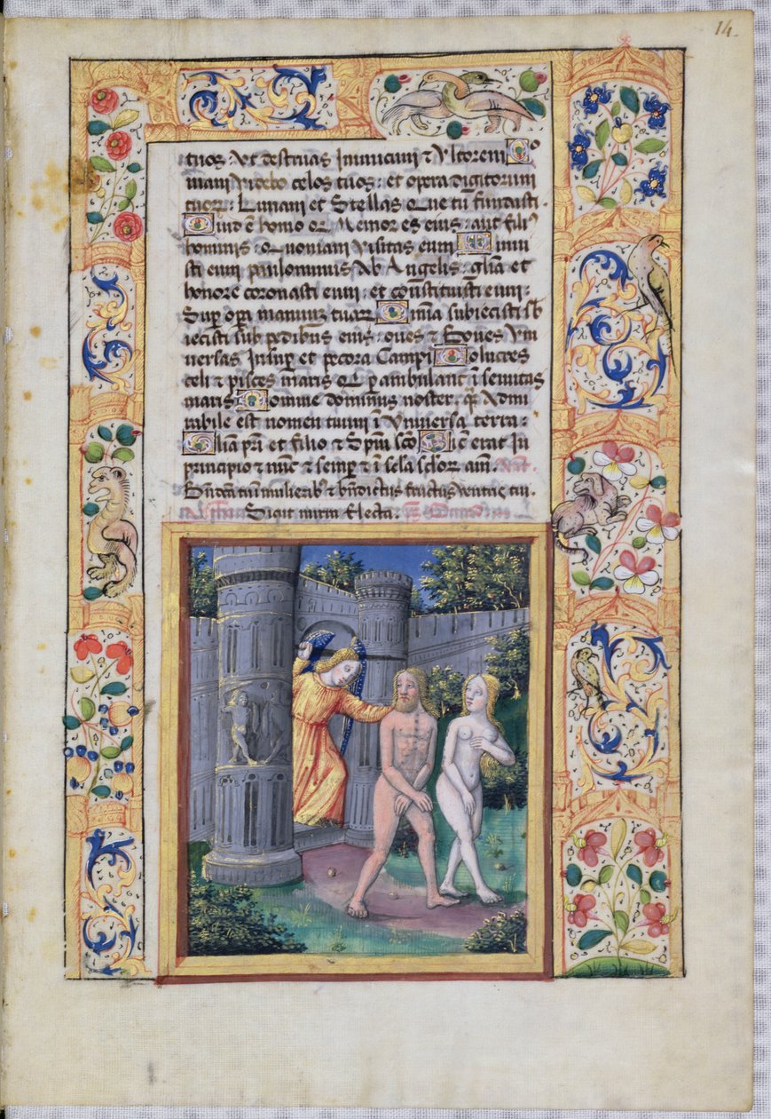 Bayan Lat. Q.v.I.126 fol.14 