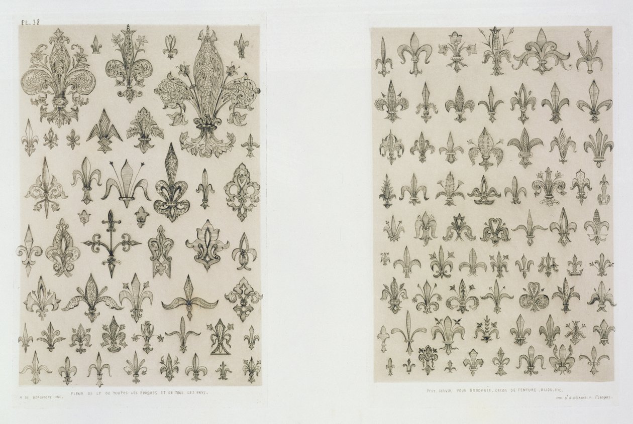 Fleur de Lys, her yaştan ve dünyanın her yerinden, 